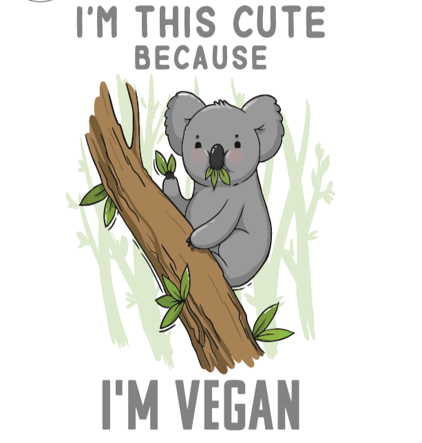 Cute Koala -Adult Tee